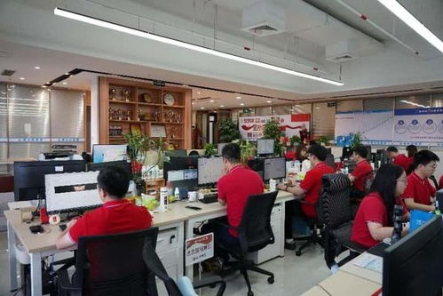 德永信集團(tuán)品牌建設(shè)日 以閱兵精神賦能高質(zhì)量注冊(cè)公司代辦服務(wù)